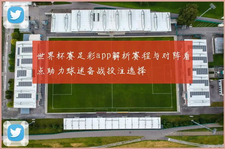 世界杯赛足彩app解析赛程与对阵看点助力球迷备战投注选择
