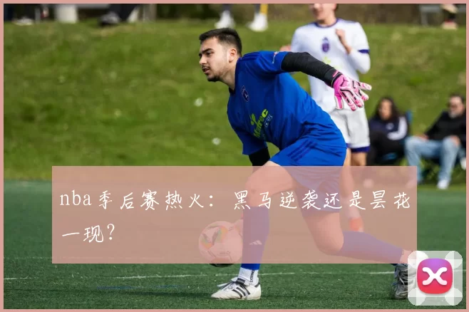 nba季后赛热火:黑马逆袭还是昙花一现?