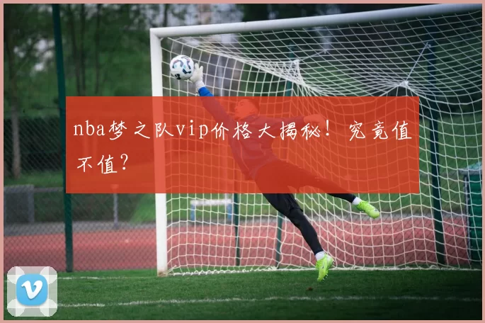 nba梦之队vip价格大揭秘！究竟值不值？