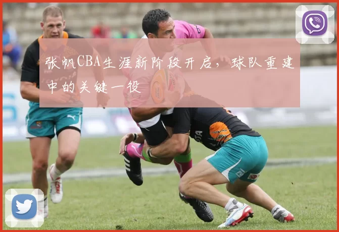 张帆CBA生涯新阶段开启，球队重建中的关键一役